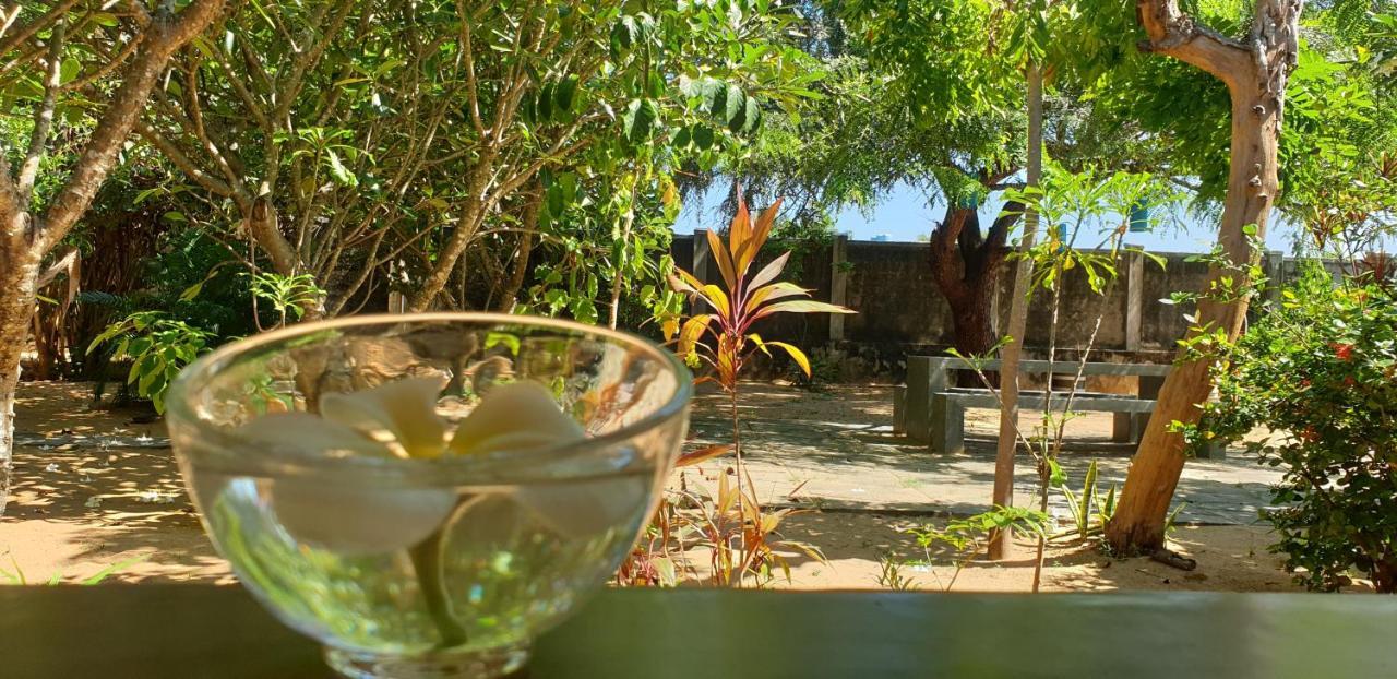 The Danish Villa Resort Baie d'Arugam Extérieur photo