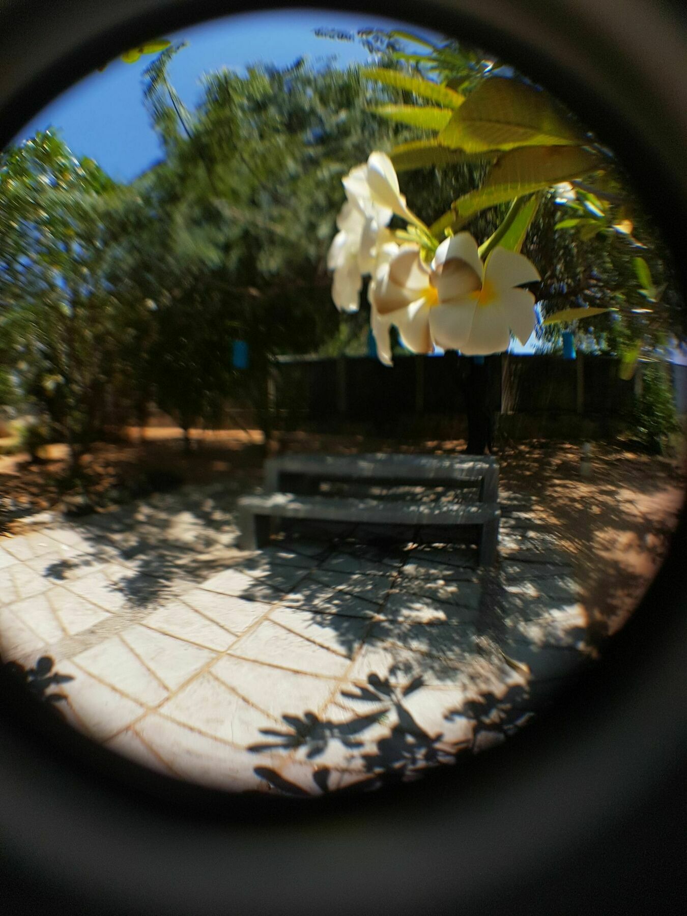 The Danish Villa Resort Baie d'Arugam Extérieur photo